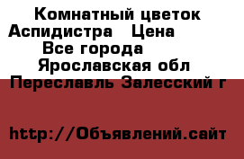 Комнатный цветок Аспидистра › Цена ­ 150 - Все города  »    . Ярославская обл.,Переславль-Залесский г.